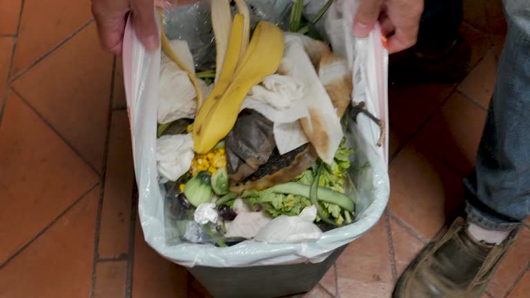  Wantagh, NY Junk Removal Services Pros